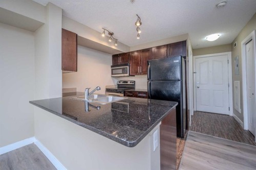309-355 Taralake Way Ne, Calgary, AB - Indoor Photo Showing Kitchen With Double Sink