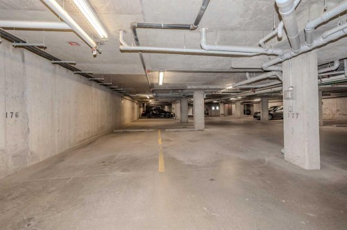 309-355 Taralake Way Ne, Calgary, AB - Indoor Photo Showing Garage