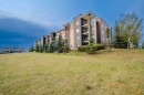 309-355 Taralake Way Ne, Calgary, AB  - Outdoor With Balcony With Facade 