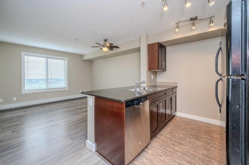 309-355 Taralake Way Ne, Calgary, AB - Indoor Photo Showing Kitchen With Double Sink