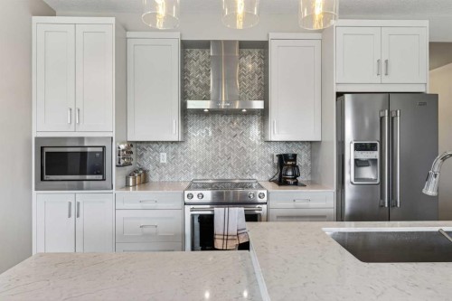 207-20 Walgrove Walk Se, Calgary, AB - Indoor Photo Showing Kitchen With Double Sink With Upgraded Kitchen