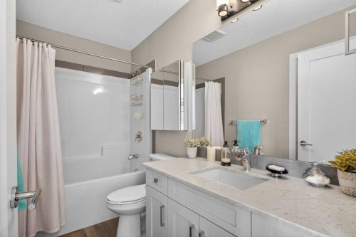 207-20 Walgrove Walk Se, Calgary, AB - Indoor Photo Showing Bathroom