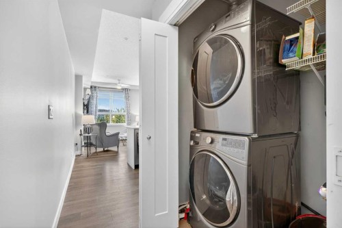 207-20 Walgrove Walk Se, Calgary, AB - Indoor Photo Showing Laundry Room