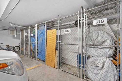 207-20 Walgrove Walk Se, Calgary, AB - Indoor Photo Showing Garage