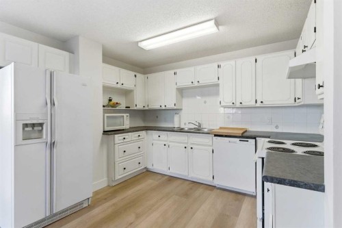 91 Deerfield Drive Se, Calgary, AB - Indoor Photo Showing Kitchen With Double Sink