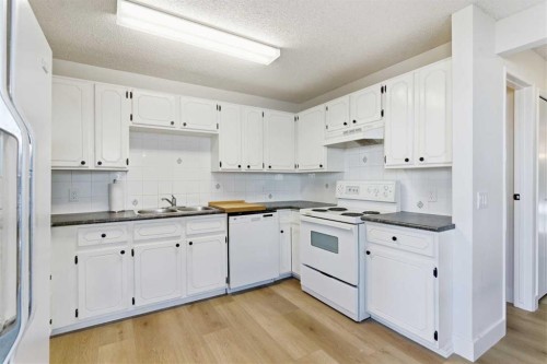 91 Deerfield Drive Se, Calgary, AB - Indoor Photo Showing Kitchen With Double Sink
