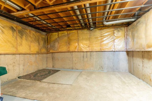 91 Deerfield Drive Se, Calgary, AB - Indoor Photo Showing Basement