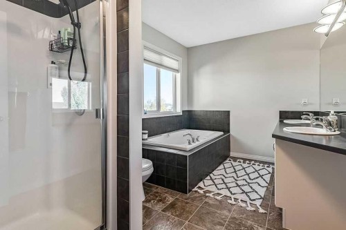 394 Cimarron Boulevard, Okotoks, AB - Indoor Photo Showing Bathroom