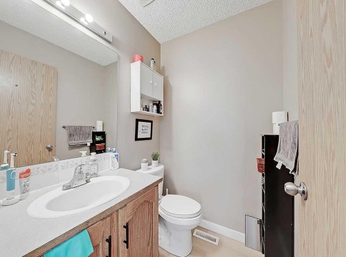 292 Coventry Close Ne, Calgary, AB - Indoor Photo Showing Bathroom