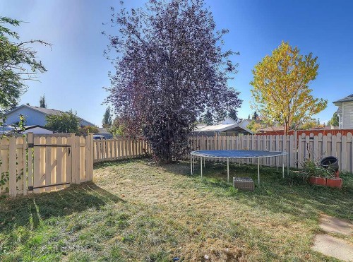 292 Coventry Close Ne, Calgary, AB - Outdoor With Backyard