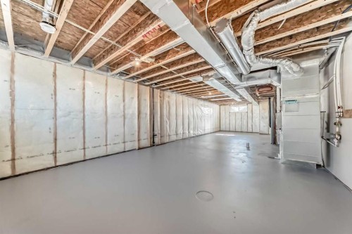 1038 Sawgrass Link Nw, Airdrie, AB - Indoor Photo Showing Basement