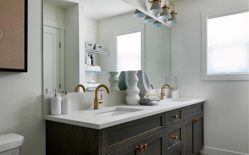 1133 Chinook Gate Bay Sw, Airdrie, AB - Indoor Photo Showing Bathroom