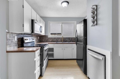 164 Deerview Way Se, Calgary, AB - Indoor Photo Showing Kitchen With Double Sink