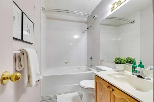 33 Shawnee View Sw, Calgary, AB - Indoor Photo Showing Bathroom