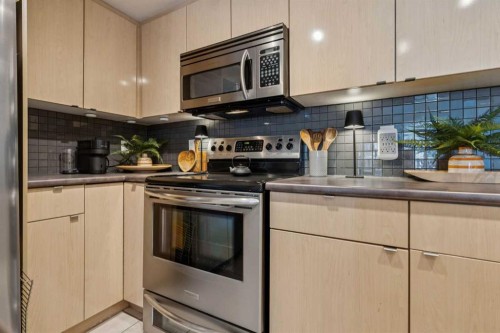 229 Mckenzie Towne Lane Se, Calgary, AB - Indoor Photo Showing Kitchen