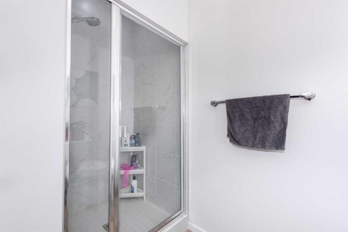 29 Cityside Link Ne, Calgary, AB - Indoor Photo Showing Bathroom