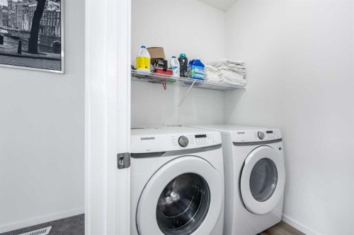 29 Cityside Link Ne, Calgary, AB - Indoor Photo Showing Laundry Room