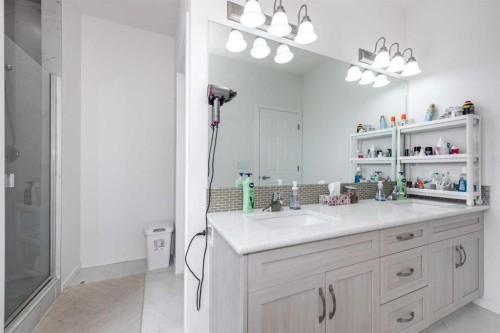 29 Cityside Link Ne, Calgary, AB - Indoor Photo Showing Bathroom