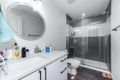 29 Cityside Link Ne, Calgary, AB - Indoor Photo Showing Bathroom