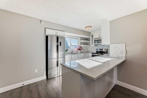 199 Maitland Drive Ne, Calgary, AB - Indoor Photo Showing Kitchen With Stainless Steel Kitchen