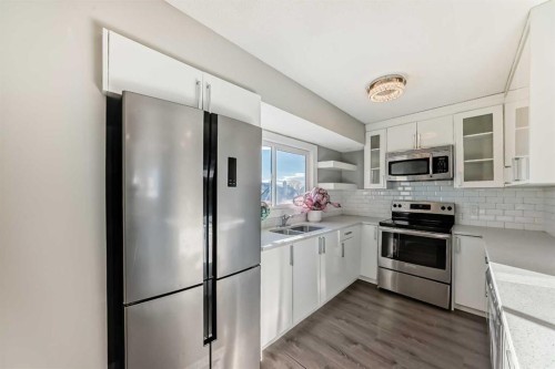 199 Maitland Drive Ne, Calgary, AB - Indoor Photo Showing Kitchen With Stainless Steel Kitchen With Double Sink