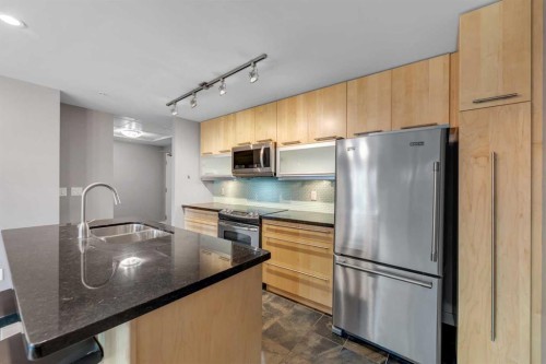 201-215 13 Avenue Sw, Calgary, AB - Indoor Photo Showing Kitchen With Stainless Steel Kitchen With Double Sink