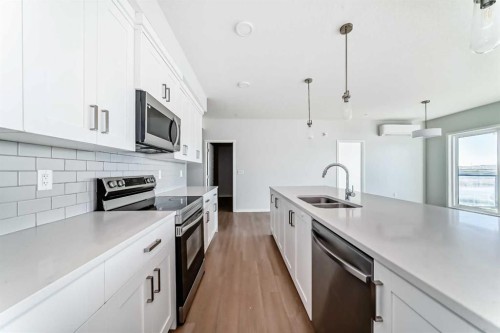 1305-42 Cranbrook Gardens Se, Calgary, AB - Indoor Photo Showing Kitchen With Double Sink With Upgraded Kitchen