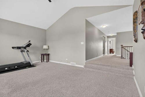 137 Evanspark Circle Nw, Calgary, AB - Indoor Photo Showing Gym Room