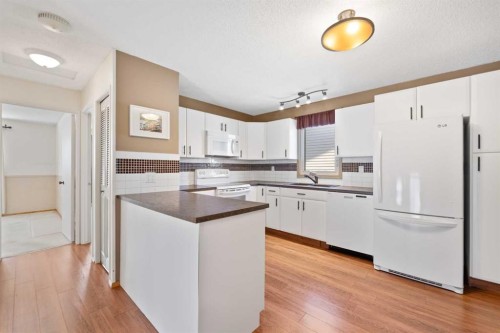 103 Abadan Crescent Ne, Calgary, AB - Indoor Photo Showing Kitchen