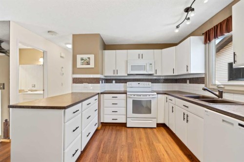 103 Abadan Crescent Ne, Calgary, AB - Indoor Photo Showing Kitchen With Double Sink