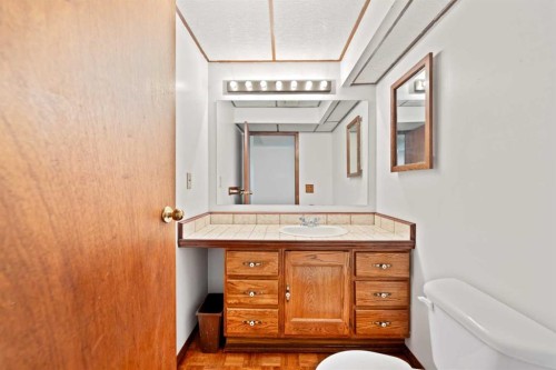 103 Abadan Crescent Ne, Calgary, AB - Indoor Photo Showing Bathroom