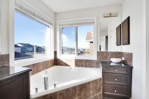 59 Redstone Park Ne, Calgary, AB - Indoor Photo Showing Bathroom