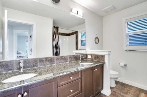 59 Redstone Park Ne, Calgary, AB - Indoor Photo Showing Bathroom