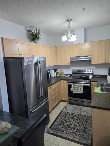 2204-333 Taravista Drive Ne, Calgary, AB - Indoor Photo Showing Kitchen With Double Sink