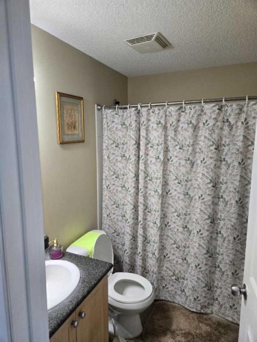 2204-333 Taravista Drive Ne, Calgary, AB - Indoor Photo Showing Bathroom