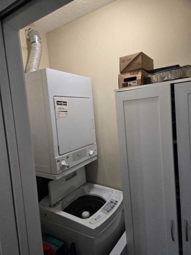 2204-333 Taravista Drive Ne, Calgary, AB - Indoor Photo Showing Laundry Room