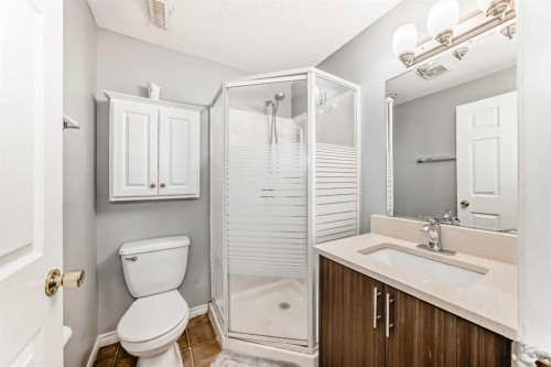 59 Tarington Way Ne, Calgary, AB - Indoor Photo Showing Bathroom