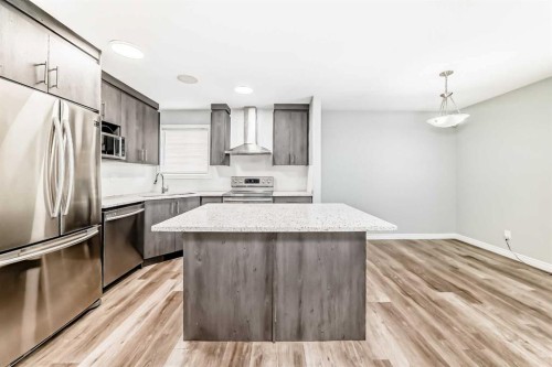59 Tarington Way Ne, Calgary, AB - Indoor Photo Showing Kitchen With Stainless Steel Kitchen With Upgraded Kitchen