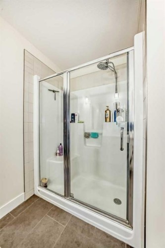 115 Mahogany Way Se, Calgary, AB - Indoor Photo Showing Bathroom