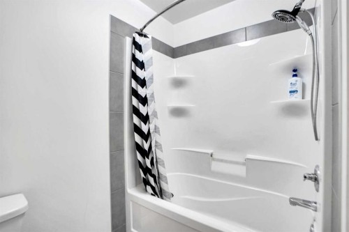 151 Skyview Point Road Ne, Calgary, AB - Indoor Photo Showing Bathroom