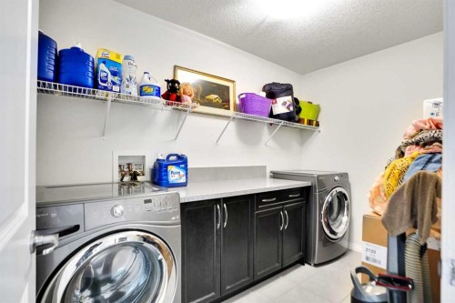 151 Skyview Point Road Ne, Calgary, AB - Indoor Photo Showing Laundry Room