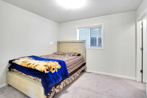 151 Skyview Point Road Ne, Calgary, AB - Indoor Photo Showing Bedroom