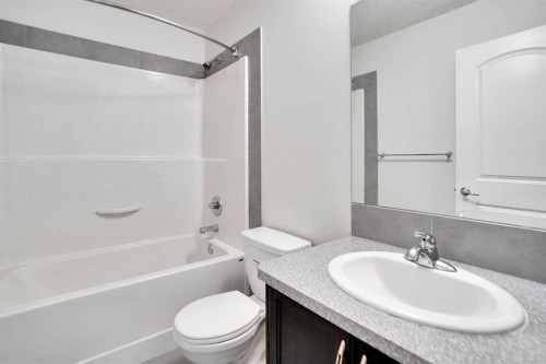 151 Skyview Point Road Ne, Calgary, AB - Indoor Photo Showing Bathroom