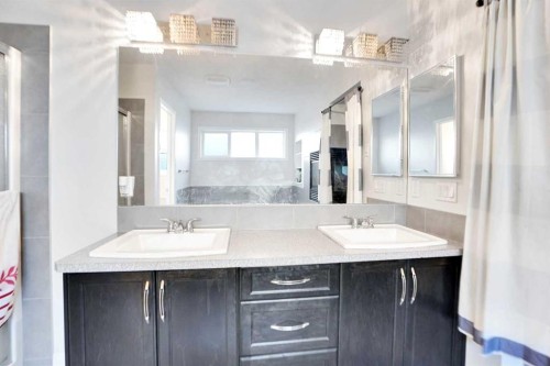 151 Skyview Point Road Ne, Calgary, AB - Indoor Photo Showing Bathroom