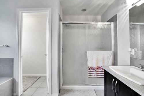 151 Skyview Point Road Ne, Calgary, AB - Indoor Photo Showing Bathroom