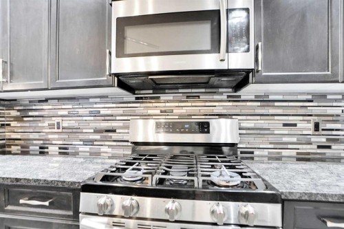 151 Skyview Point Road Ne, Calgary, AB - Indoor Photo Showing Kitchen With Upgraded Kitchen