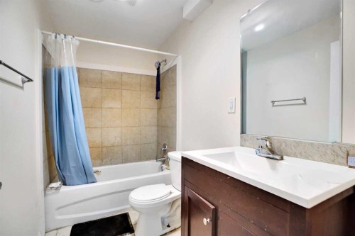 151 Skyview Point Road Ne, Calgary, AB - Indoor Photo Showing Bathroom