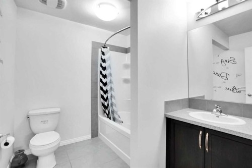151 Skyview Point Road Ne, Calgary, AB - Indoor Photo Showing Bathroom