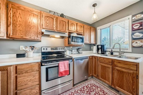 20 Rivergreen Crescent Se, Calgary, AB - Indoor Photo Showing Kitchen With Double Sink
