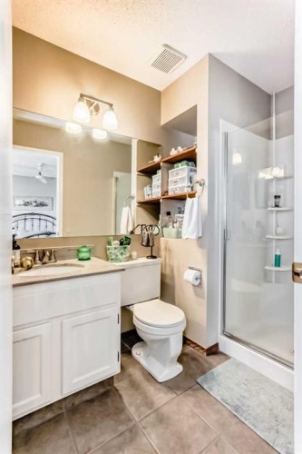 20 Rivergreen Crescent Se, Calgary, AB - Indoor Photo Showing Bathroom